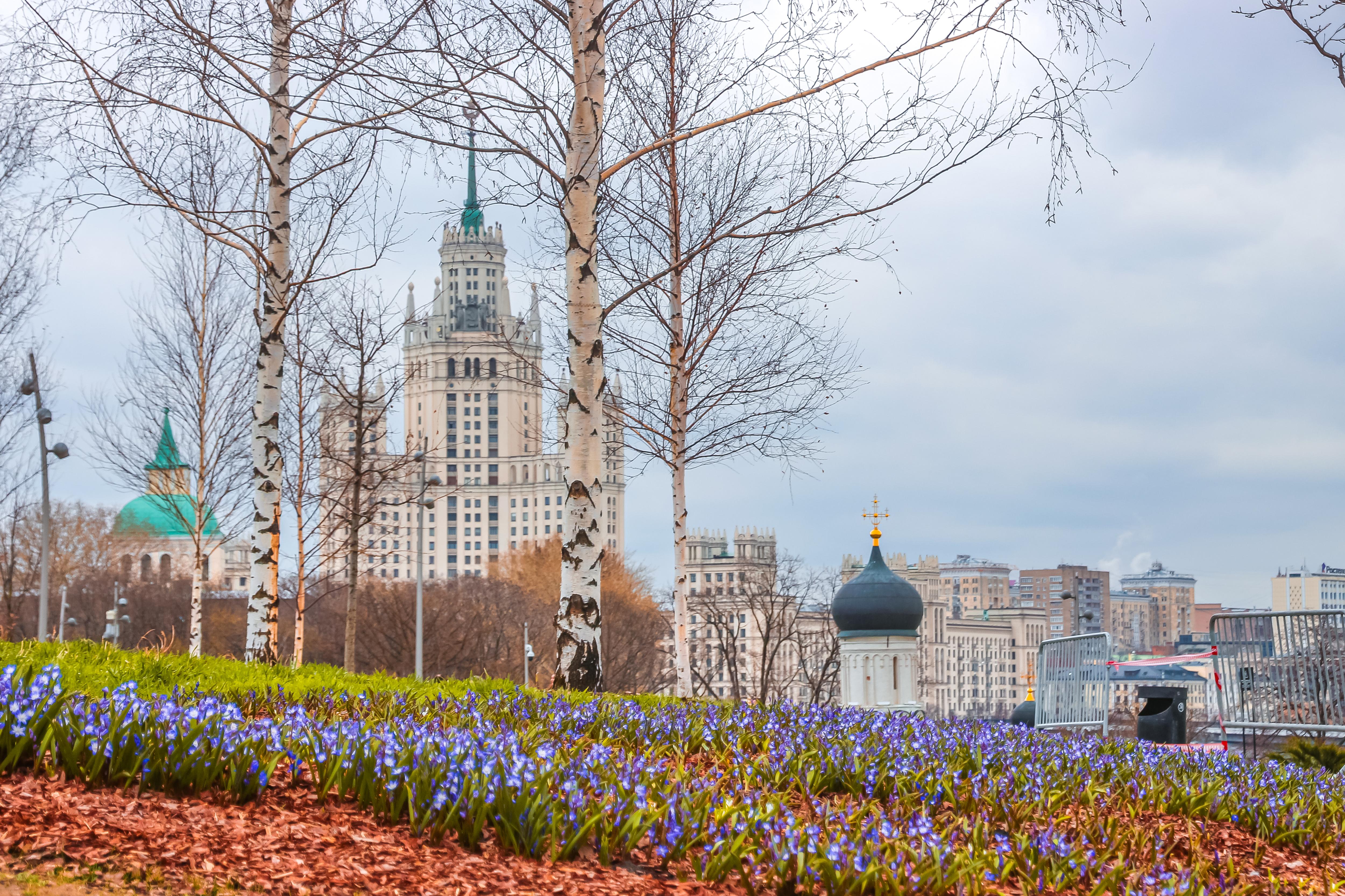 Погулять в москве весной. Парк Зарядье цветение в Москве. Парк Зарядье цветы. Зарядье парк цветение. Цветы в Зарядье 2022.